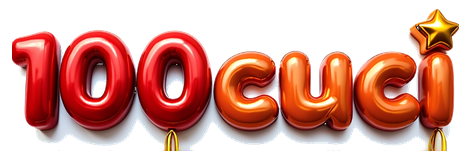 100cuci vip logo
